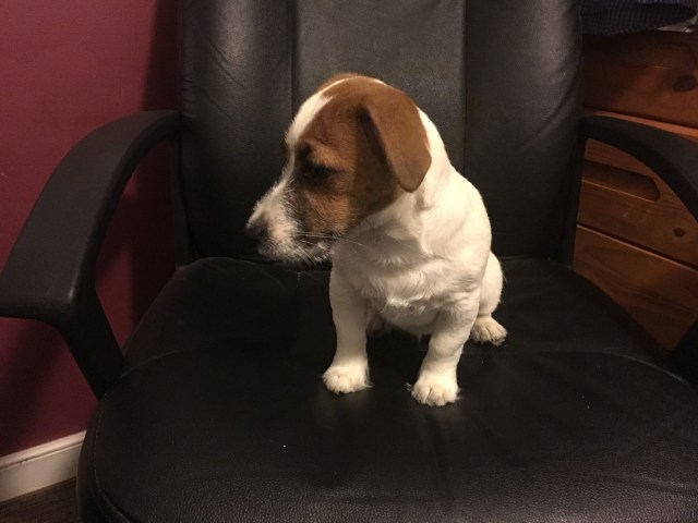 74CE5600-D250-4CC6-889C-CACB84CF4BF3