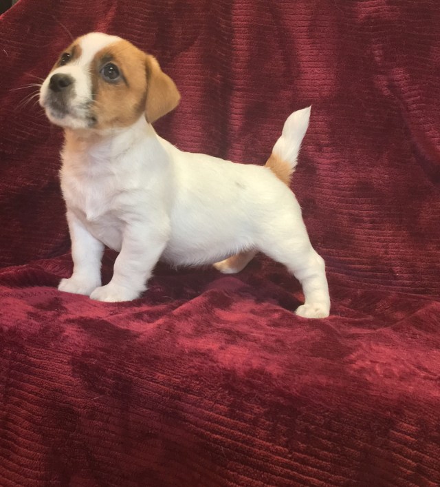 E5A2A4C1-33CB-4290-AA8A-140141A61E22